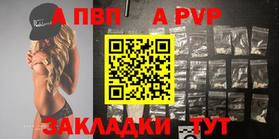 шишки Тара