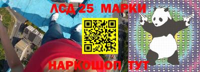 шишки Тара