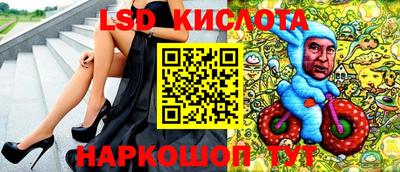 шишки Тара