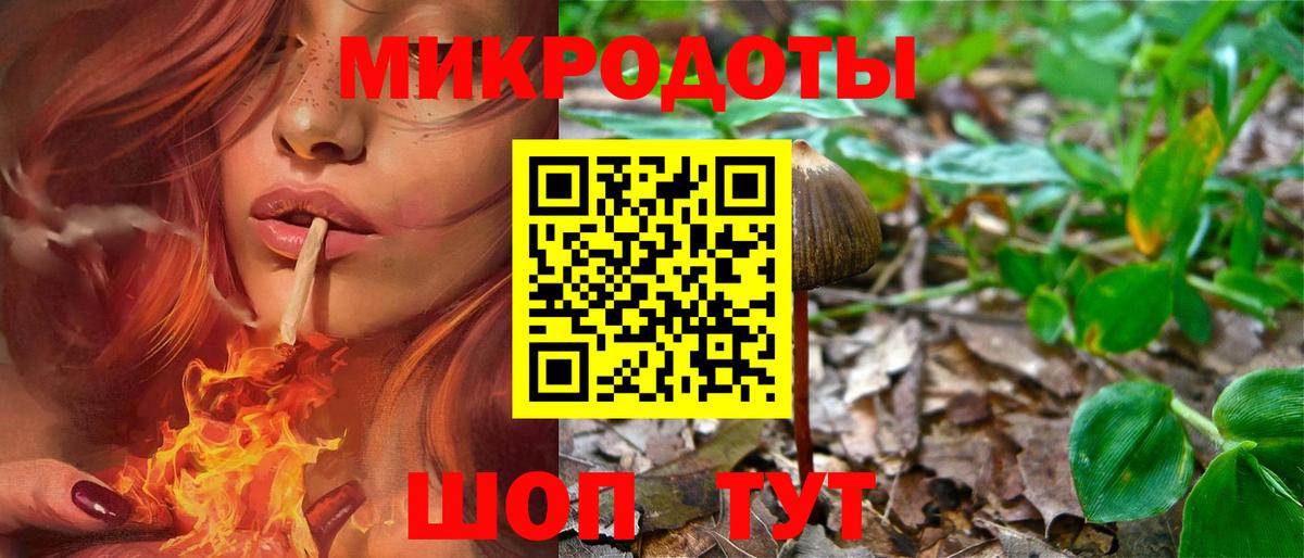 Галлюциногенные грибы мицелий Мурманск